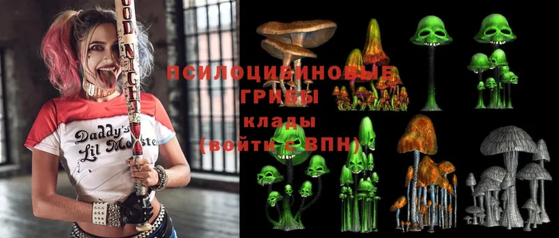 купить наркотик  Кимовск  ссылка на мегу   Галлюциногенные грибы Psilocybe 